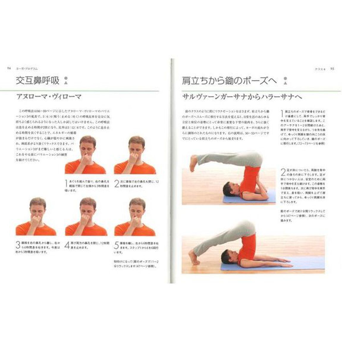 シヴァナンダ・ヨーガ入門　リラクゼーション、食事、精神集中、瞑想などライフスタイルのアドバイスも含めた家でも気楽に出来る初心者版