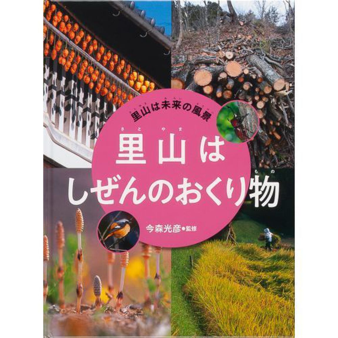 里山は未来の風景　〔４〕「里山はしぜんのおくり物」