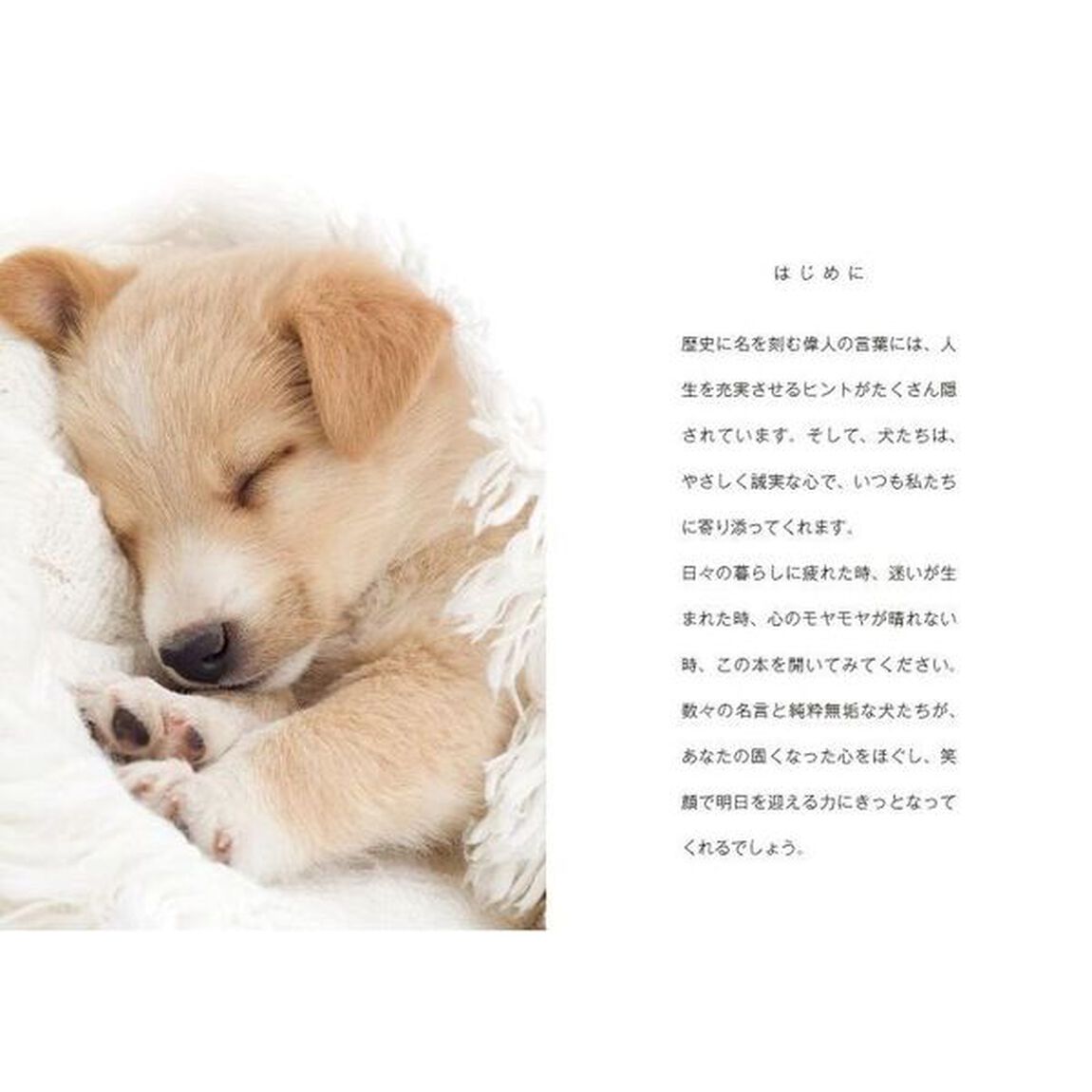わんこセラピー　１分で笑顔になれる言葉