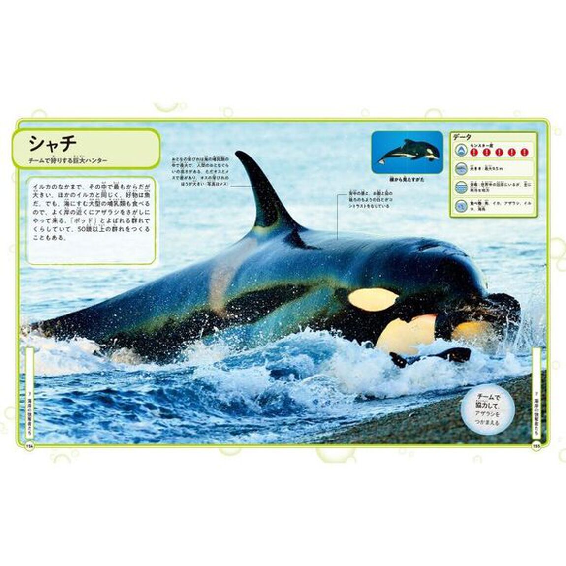 最強サメと海の危険生物大図鑑