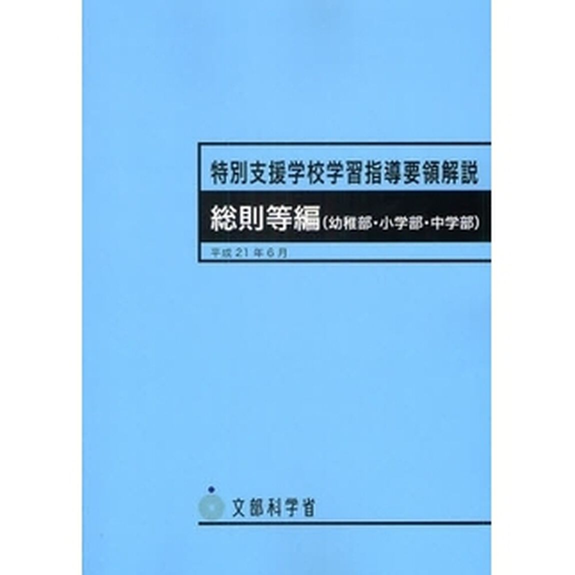 特別支援学校学習指導要領解説　総則等編〈幼稚部・小学部・中学部〉