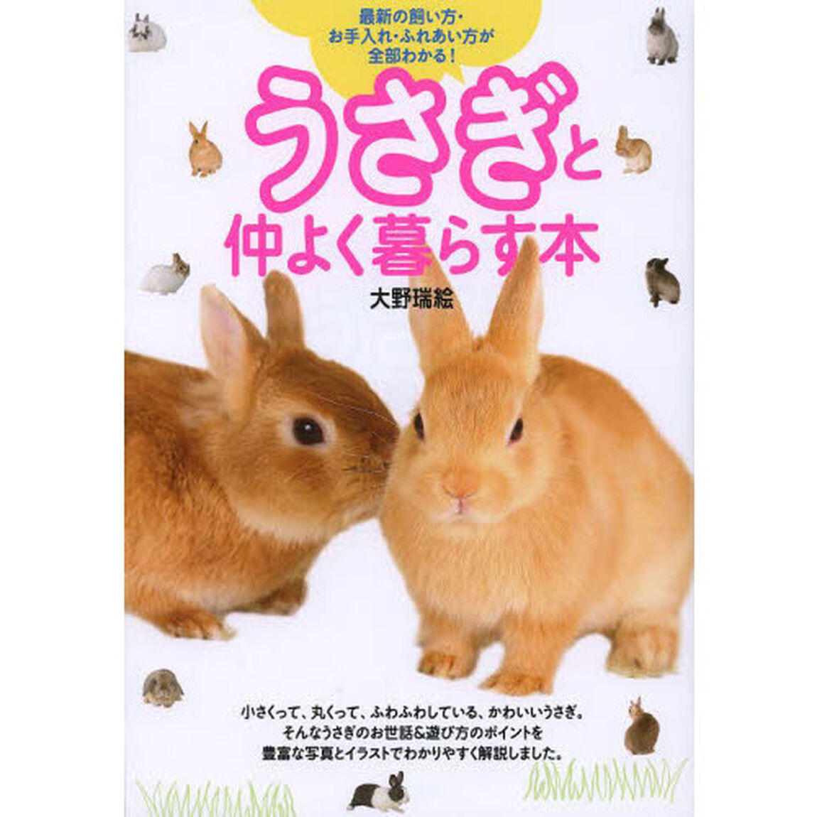 うさぎと仲よく暮らす本　最新の飼い方・お手入れ・ふれあい方が全部わかる！