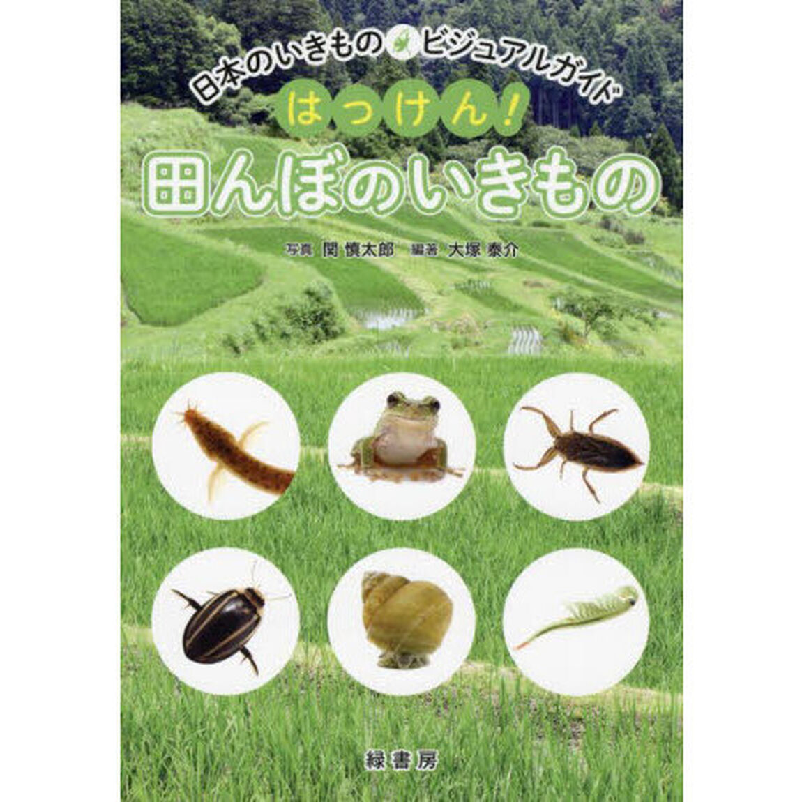はっけん！田んぼのいきもの