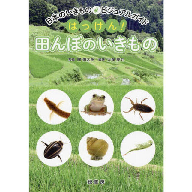 はっけん！田んぼのいきもの