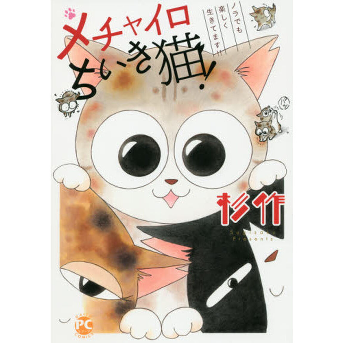 メチャイロちいき猫! ノラでも楽しく生きてます!!