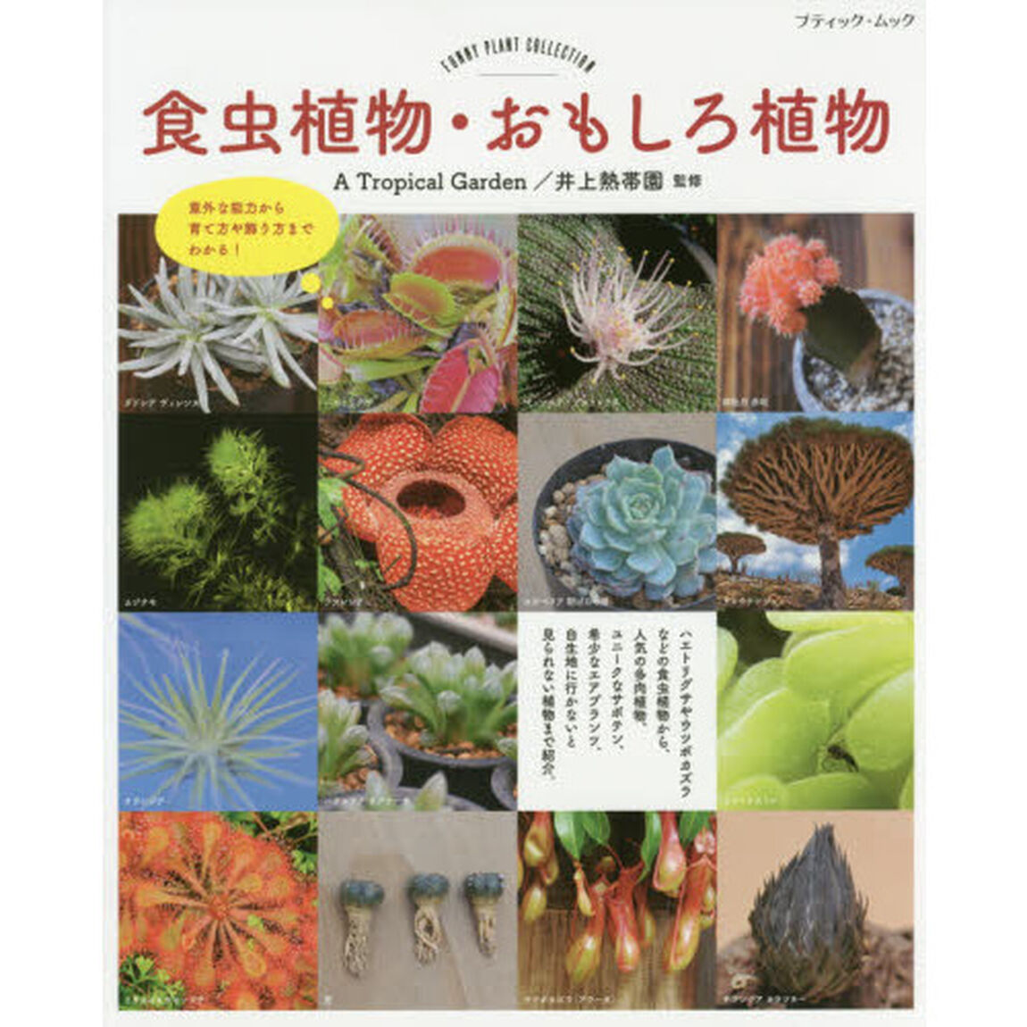 食虫植物・おもしろ植物　意外な能力から育て方や飾り方までわかる！