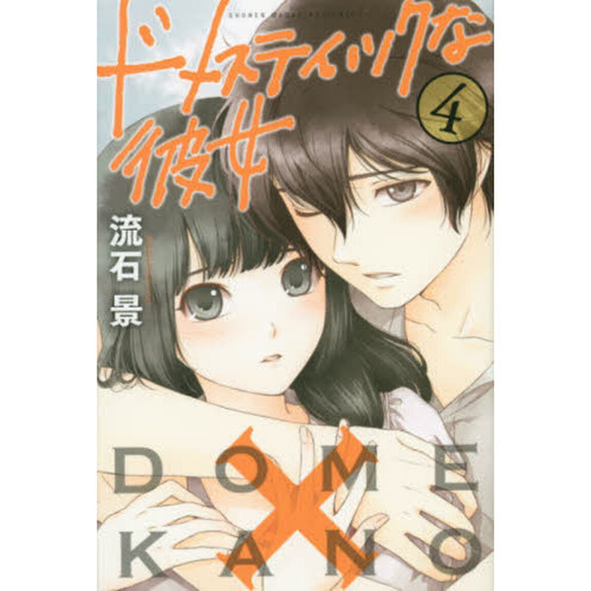ドメスティックな彼女　４