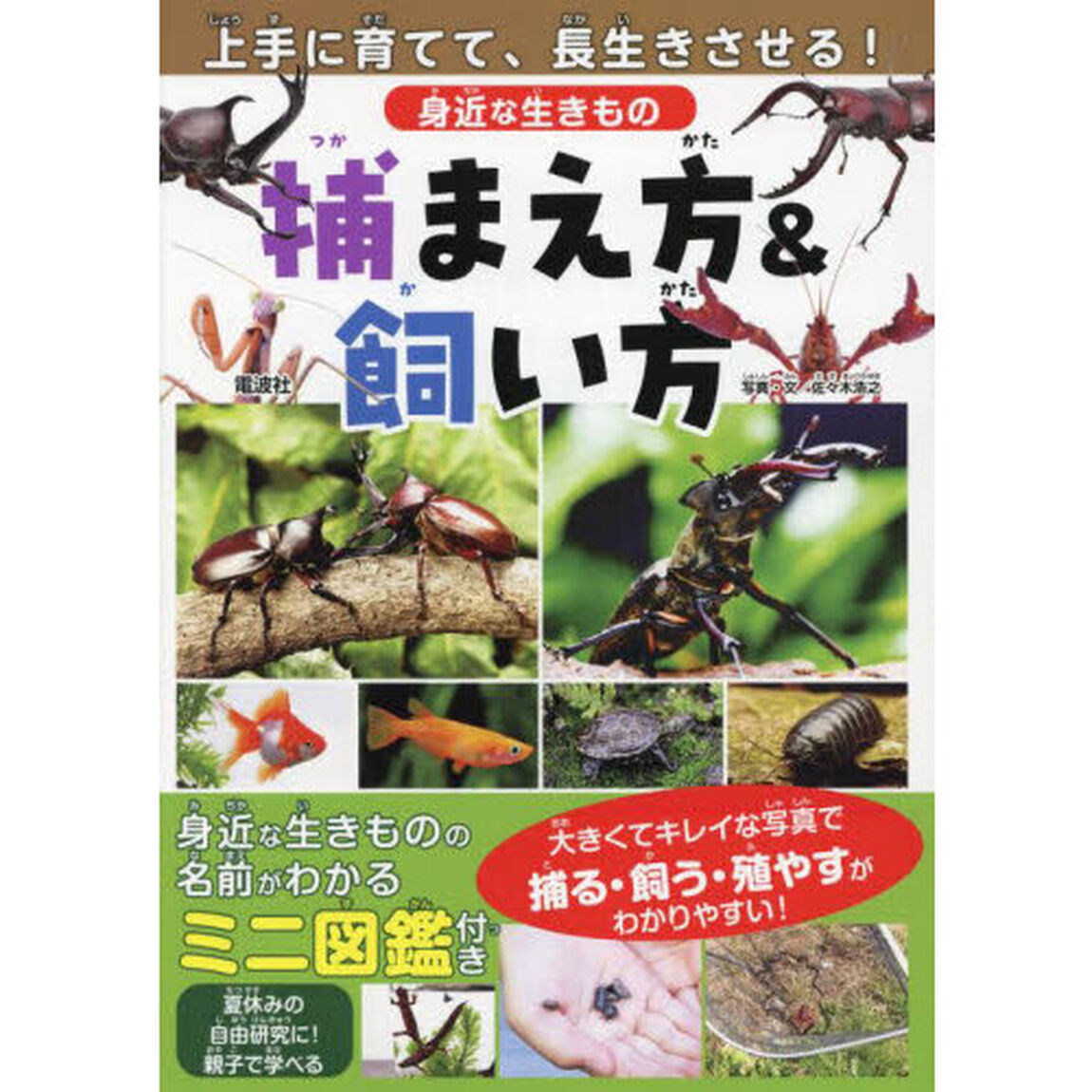身近な生きもの捕まえ方＆飼い方　上手に育てて、長生きさせる！