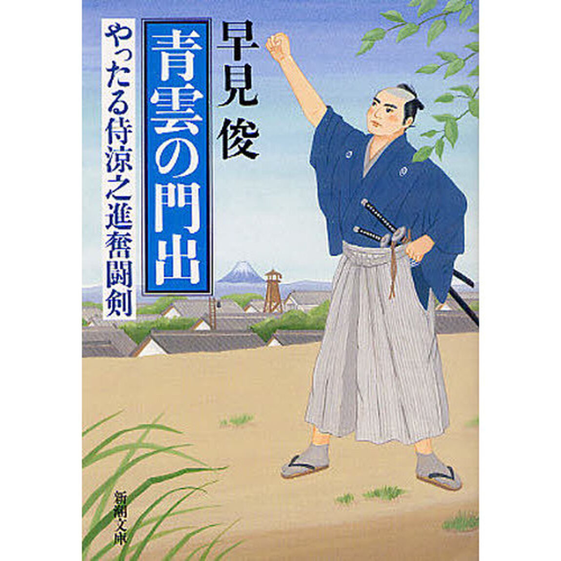 青雲の門出　やったる侍涼之進奮闘剣