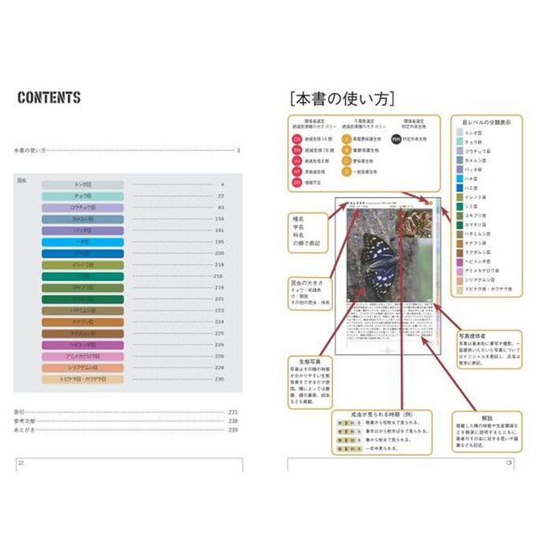 千葉の昆虫図鑑　８０９種
