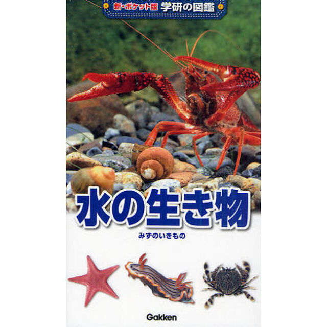 水の生き物