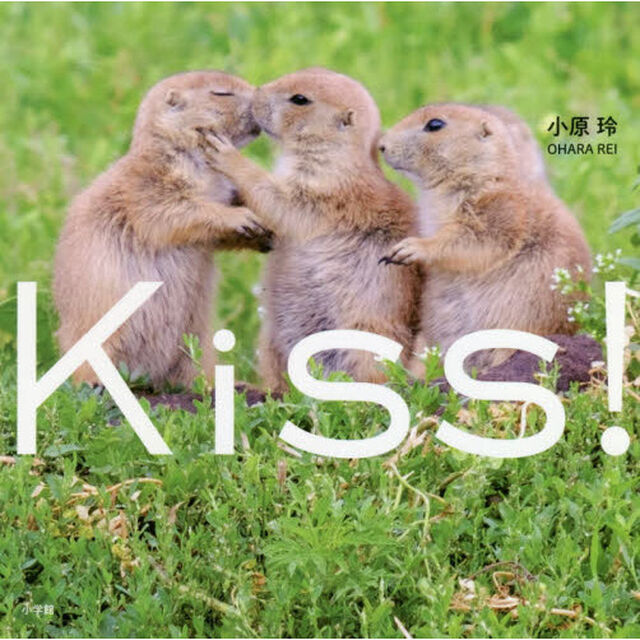 Ｋｉｓｓ！