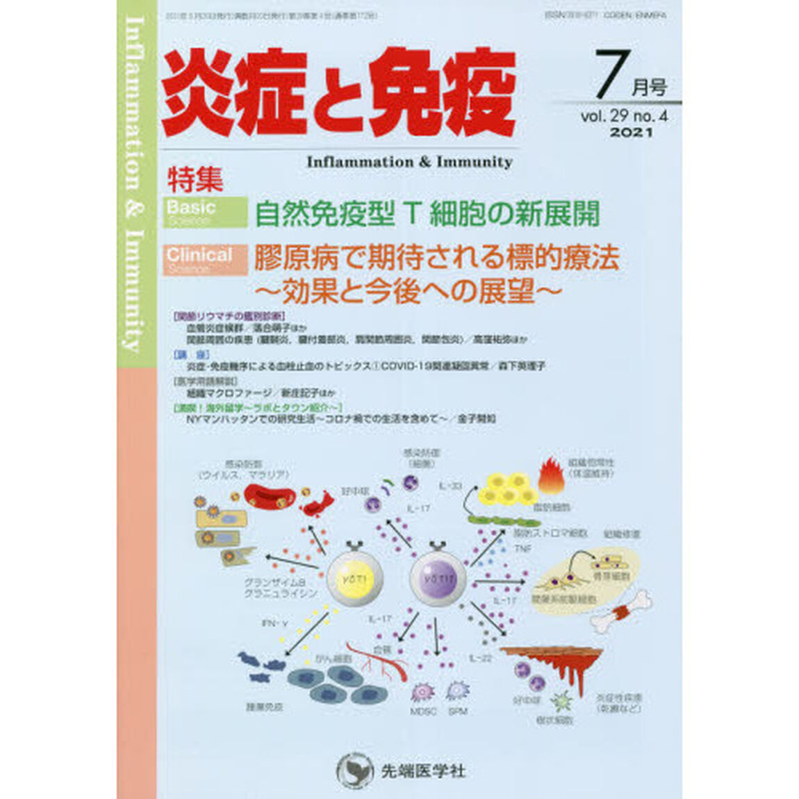 炎症と免疫　ｖｏｌ．２９ｎｏ．４（２０２１－７月号）「Ｂａｓｉｃ自然免疫型Ｔ細胞の新展開　Ｃｌｉｎｉｃａｌ膠原病で期待される標的療法〜効果と今後への展望〜」