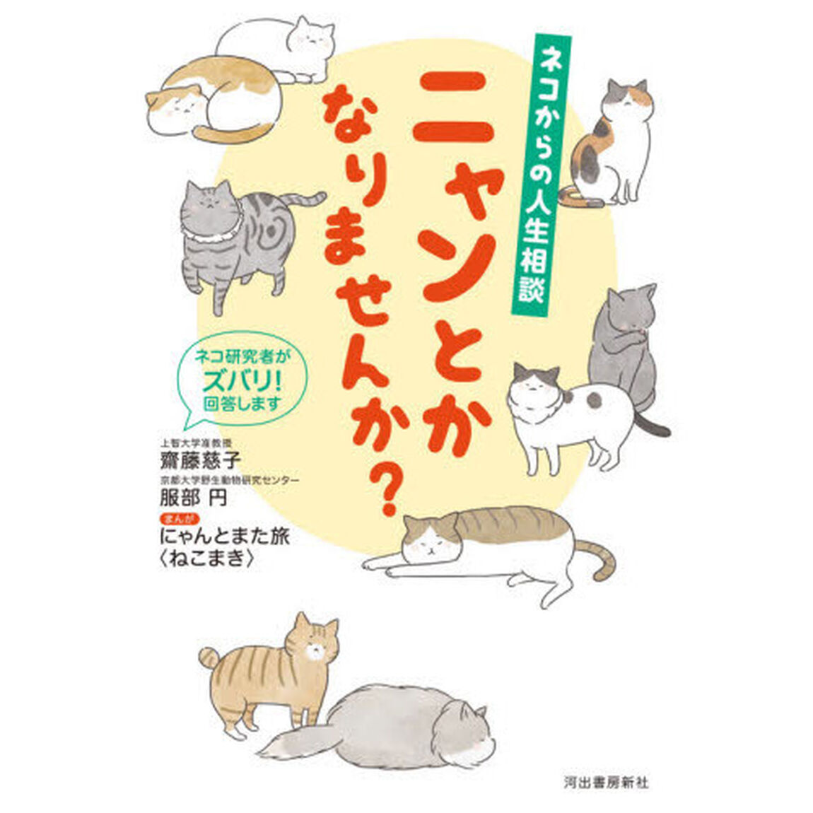 ニャンとかなりませんか？　ネコからの人生相談　ネコ研究者がズバリ！回答します
