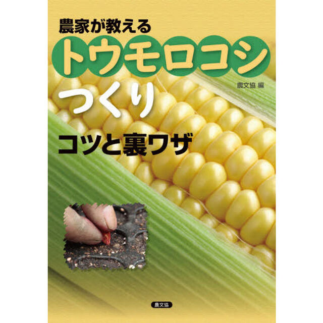 農家が教えるトウモロコシつくりコツと裏ワザ