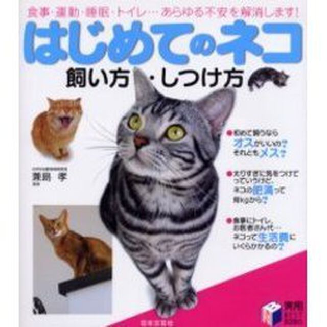 はじめてのネコ飼い方・しつけ方　食事・運動・睡眠・トイレ&hellip;あらゆる不安を解消します！