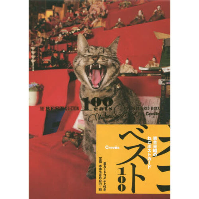 岩合光昭のねこポストカード・ベスト１００