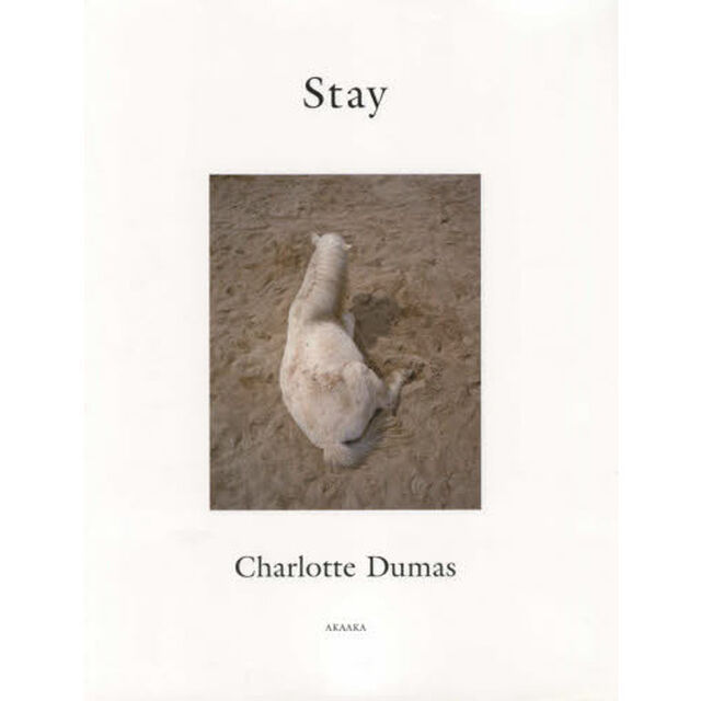 Ｓｔａｙ