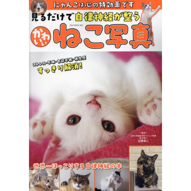 見るだけで自律神経が整うかわいいねこ写真　にゃんこは心の特効薬です