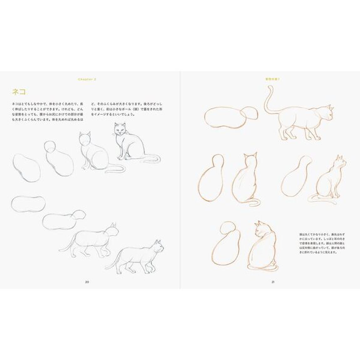 誰でもかんたんドローイング　シンプルな形からはじめる絵の描き方の基本