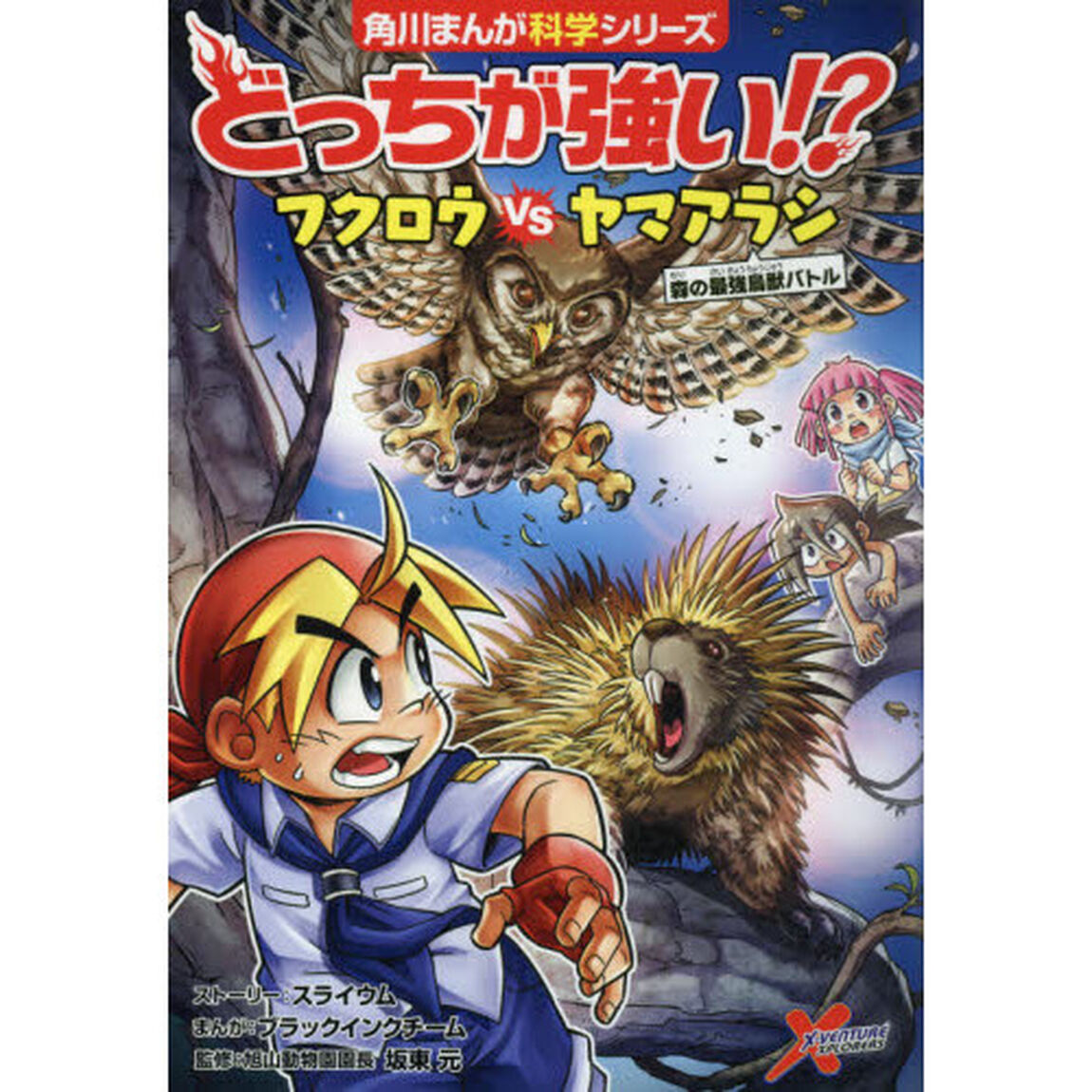 どっちが強い！？フクロウＶＳ（たい）ヤマアラシ　森の最強鳥獣バトル