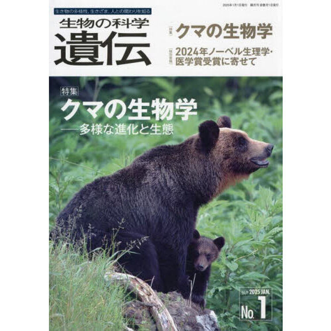 生物の科学遺伝　Ｖｏｌ．７９Ｎｏ．１（２０２５ＪＡＮ．）「クマの生物学　多様な進化と生態」