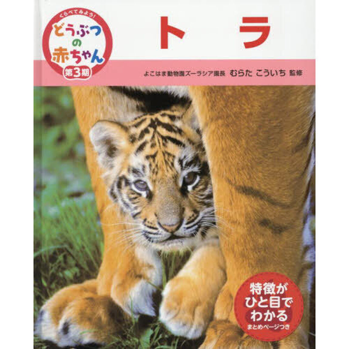 くらべてみよう！どうぶつの赤ちゃん　２１「トラ」