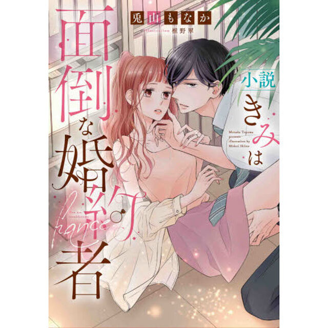 小説きみは面倒な婚約者