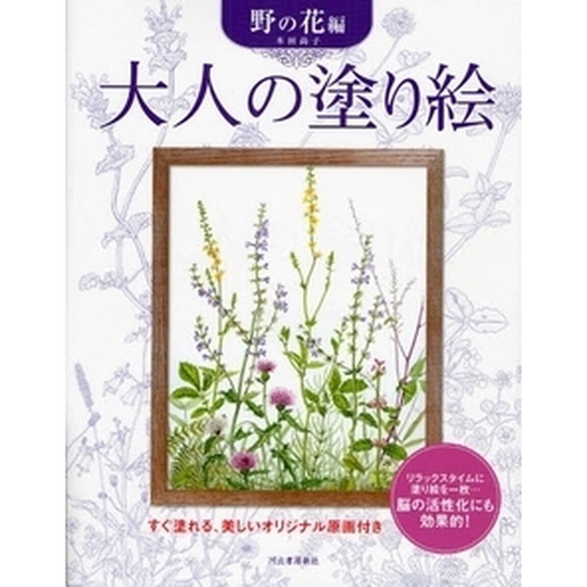 大人の塗り絵 野の花編