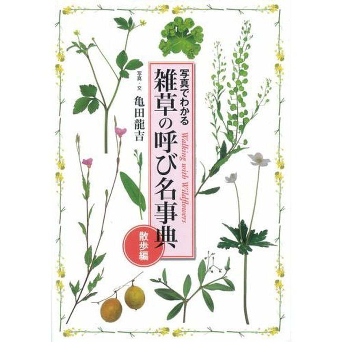 雑草の呼び名事典 散歩編 (写真でわかる)