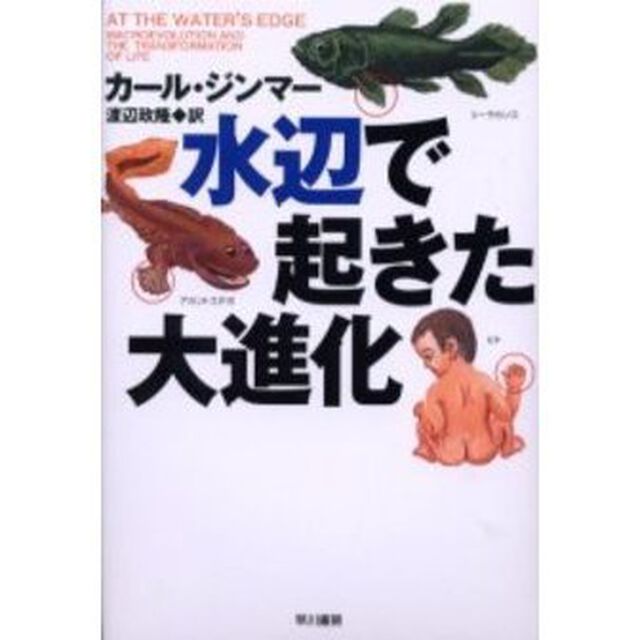 水辺で起きた大進化