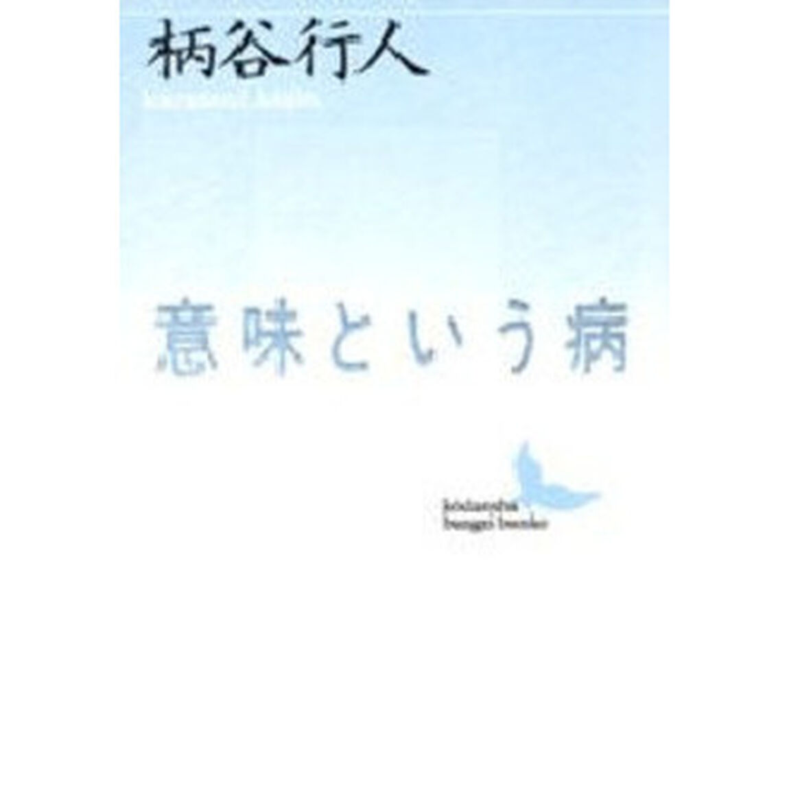 意味という病