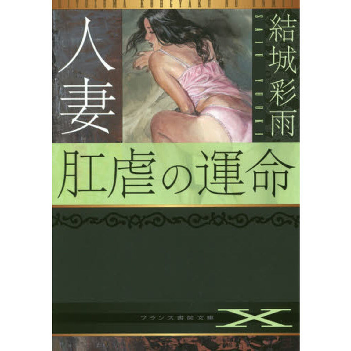人妻肛虐の運命