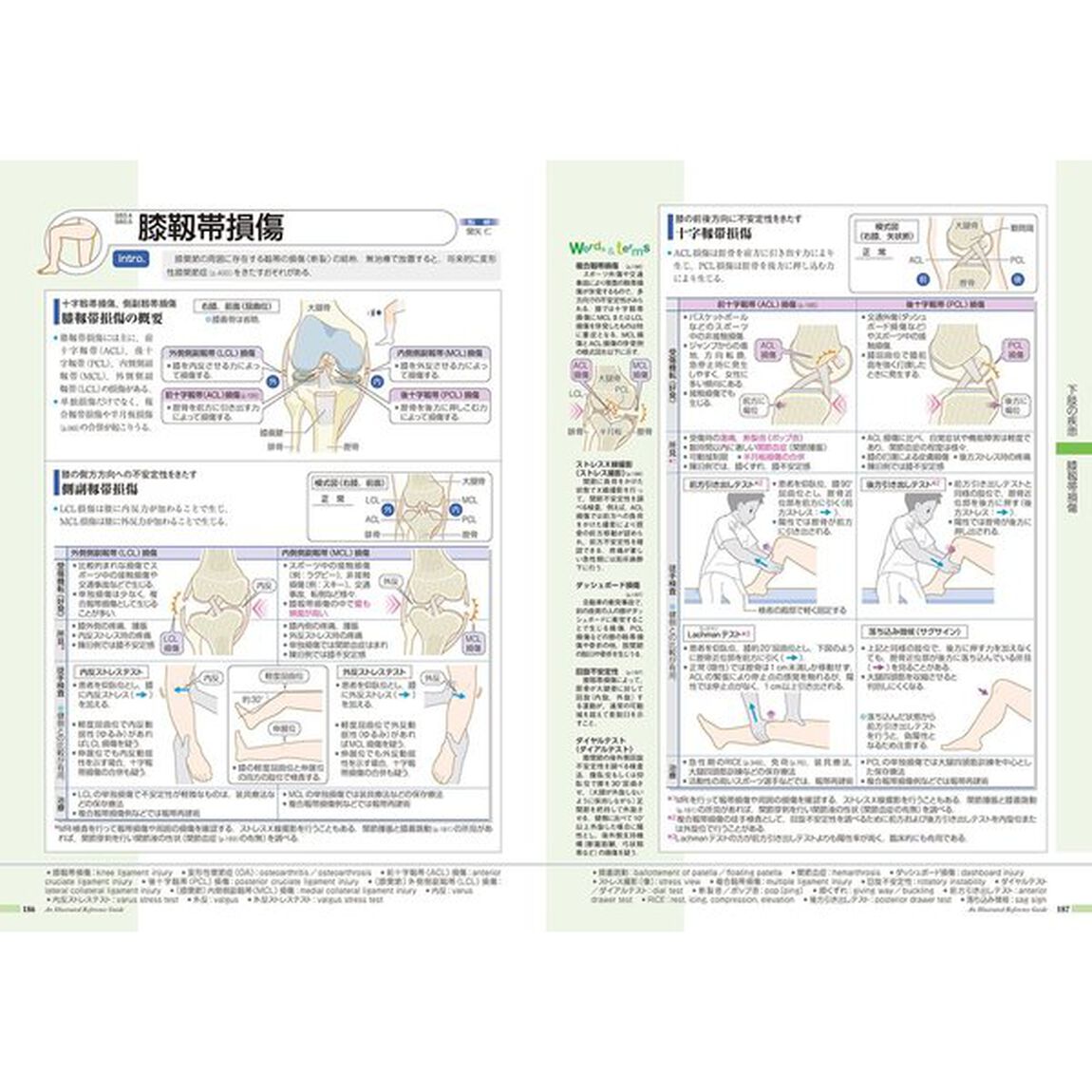 病気がみえるvol.11 運動器・整形外科「運動器・整形外科」