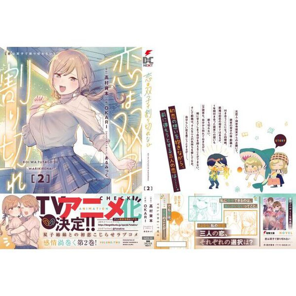 恋は双子で割り切れない　２