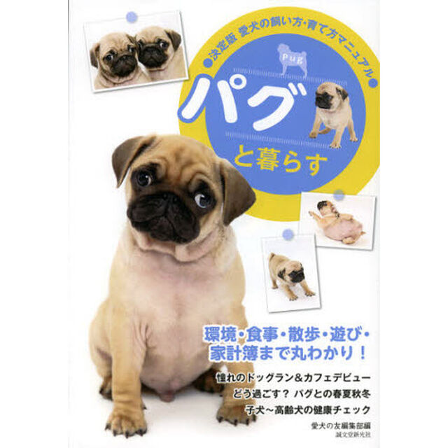 パグと暮らす