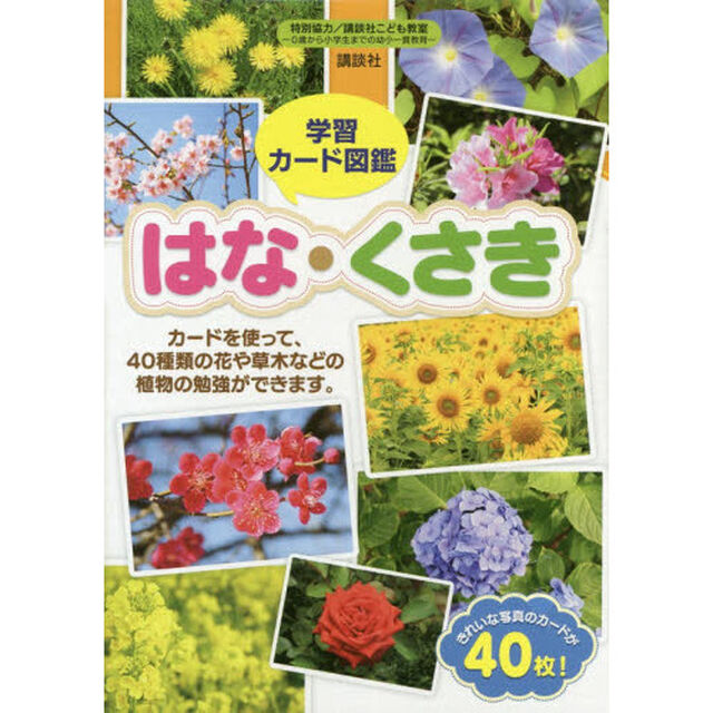 学習カード図鑑　はな・くさき