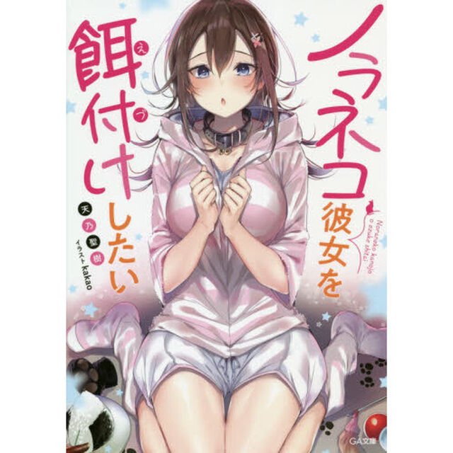 ノラネコ彼女を餌付けしたい