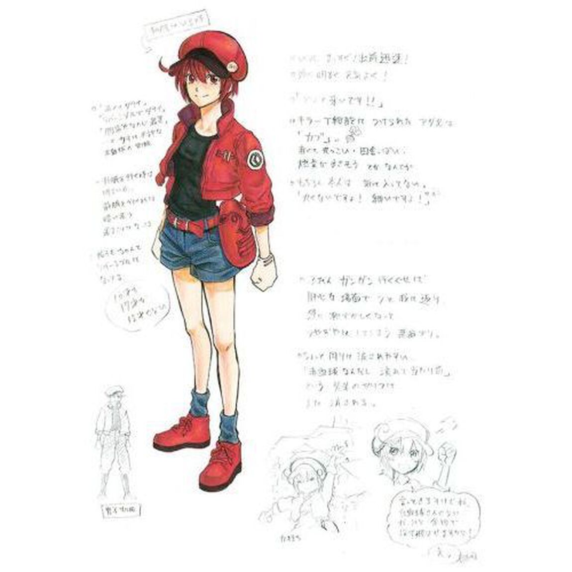 はたらく細胞ＩＬＬＵＳＴＲＡＴＩＯＮＳ