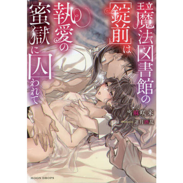 王立魔法図書館の〈錠前〉は執愛の蜜獄に囚われて