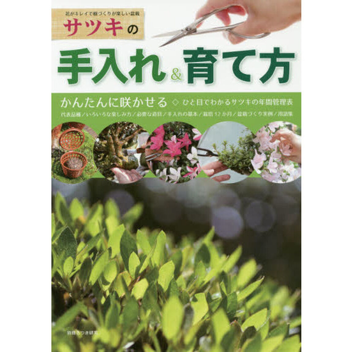サツキの手入れ＆育て方　かんたんに咲かせる　手入れの基本〜盆栽づくり実例集