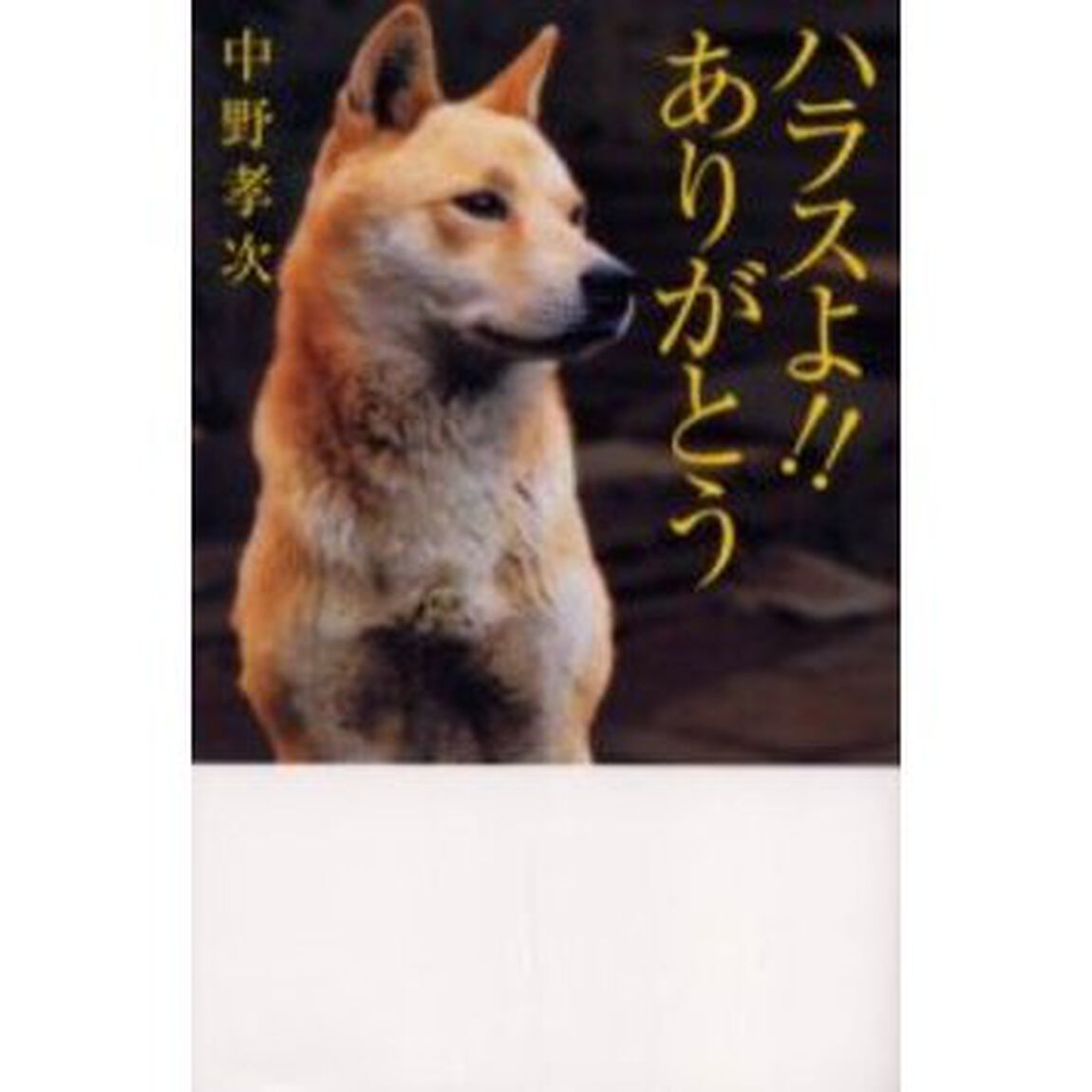 ハラスよ！！ありがとう