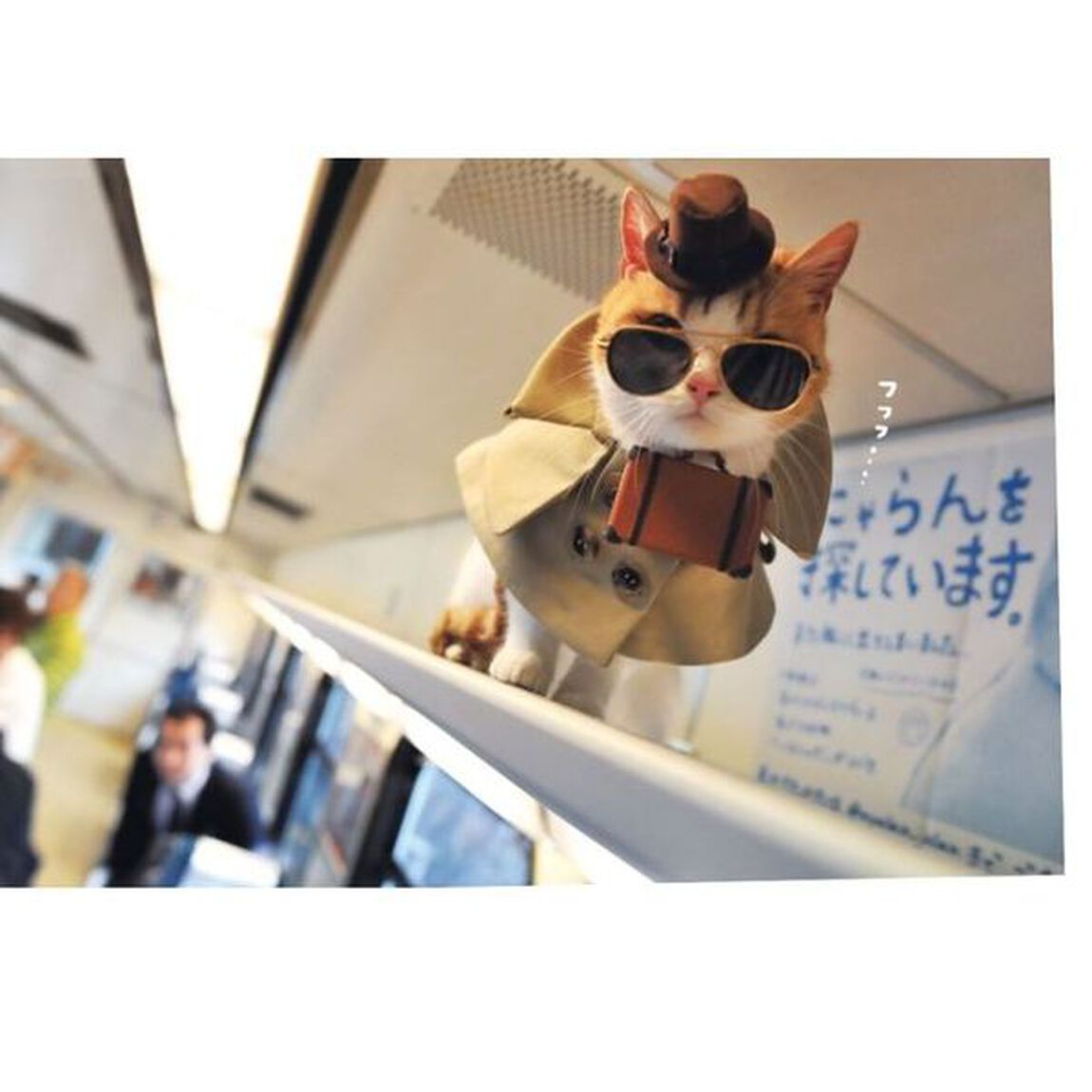 ひみつのにゃらん