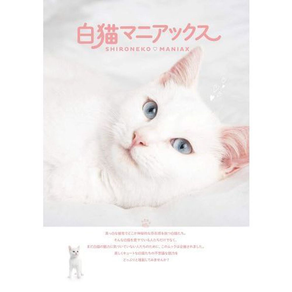 白猫マニアックス