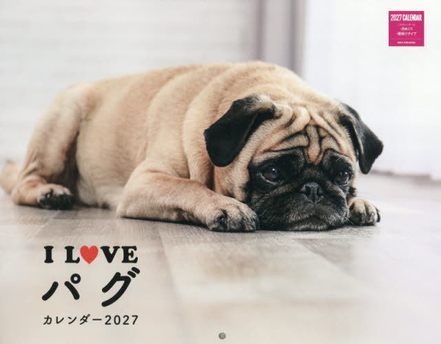 &rsquo;２７　Ｉ　ＬＯＶＥパグカレンダー