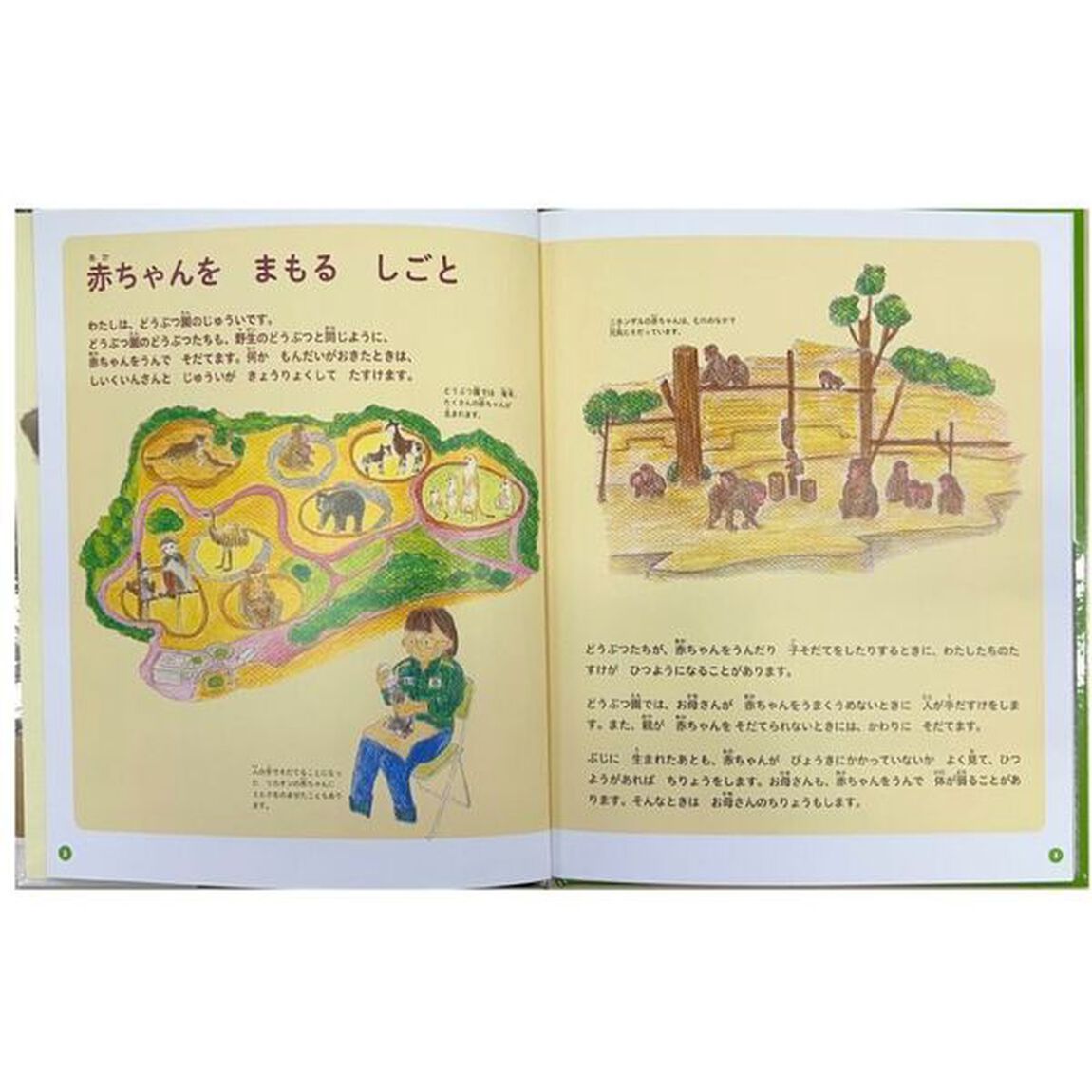 どうぶつ園のじゅうい　〔２〕「赤ちゃんをまもるしごと」
