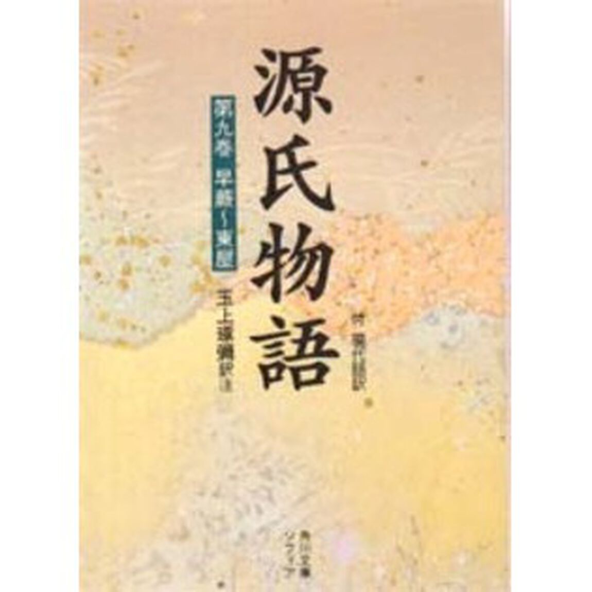 源氏物語　付　現代語訳　第９巻