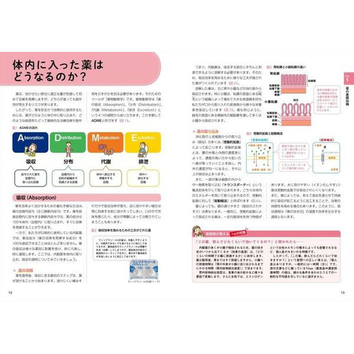 これならわかる！看護に役立つくすりの知識