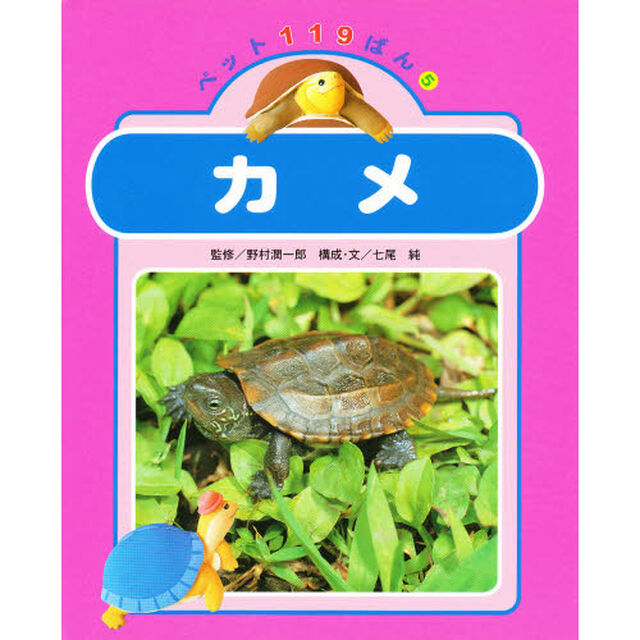 カメ