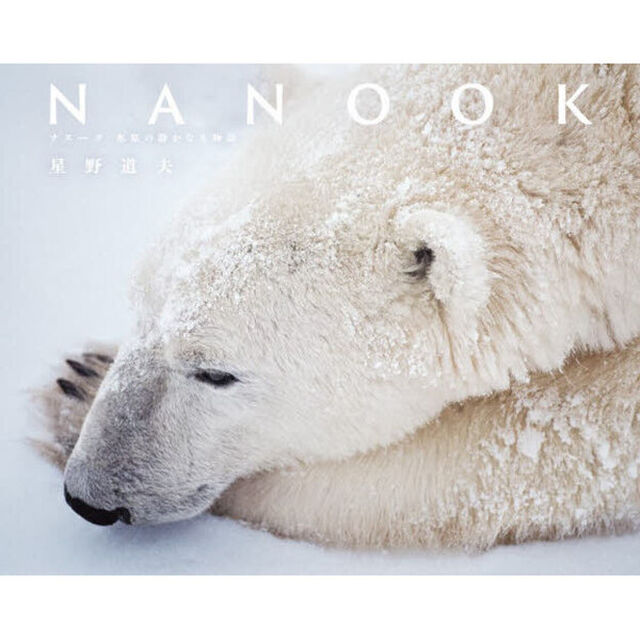 ＮＡＮＯＯＫ　ナヌーク氷原の静かなる物語